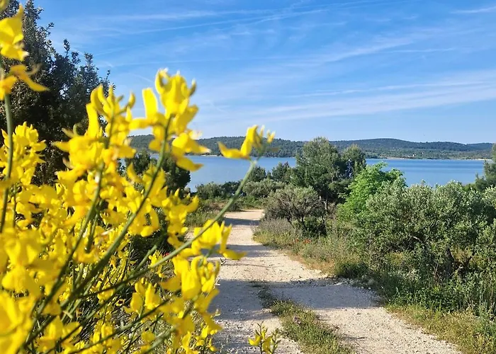 Camping Andesa Mobile Pirovac- Perfect Vacation In A With A Pool, Few Steps From The Sea!